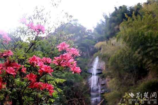 黃龍山頂，風景如畫 黃錚 攝_副本.jpg.jpg