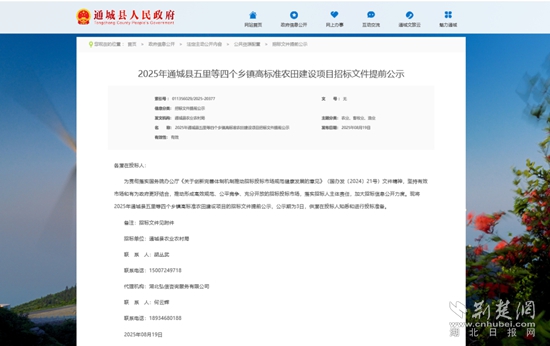 中心.jpg