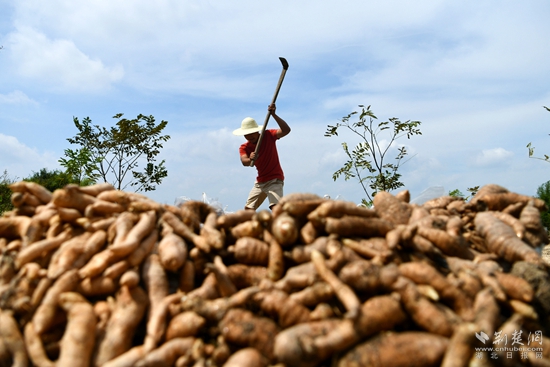 通城縣 醫(yī)藥3.jpg