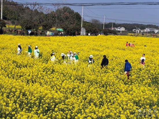 花樣經濟 咸安2.jpg.jpg